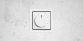 Busch-Dimmer® bei Sicherheitstechnik Liebing & Beese GmbH in Gera